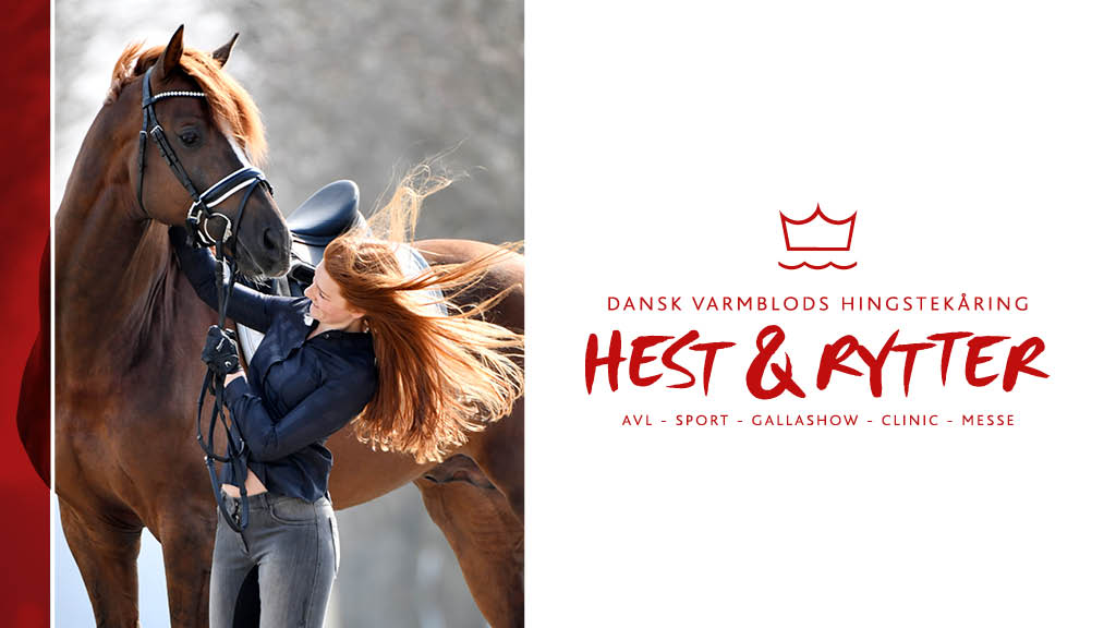 Hest & Rytter - Dansk Varmblods Hingstekåring