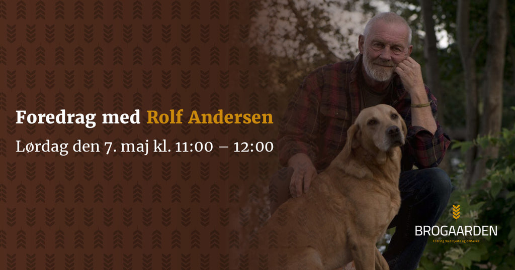 Foredrag til Hundedag med Rolf Andersen 