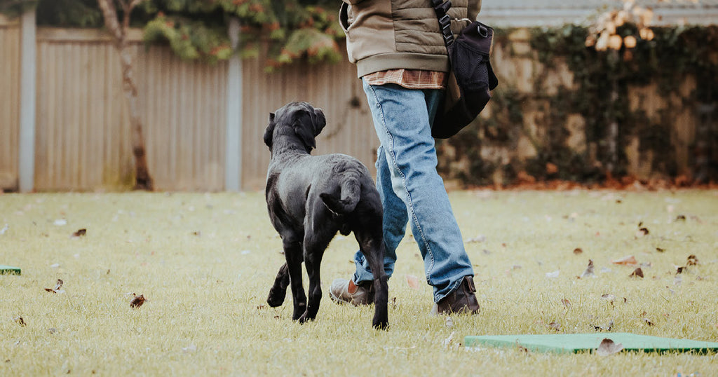 Placeboard, hvad er det?