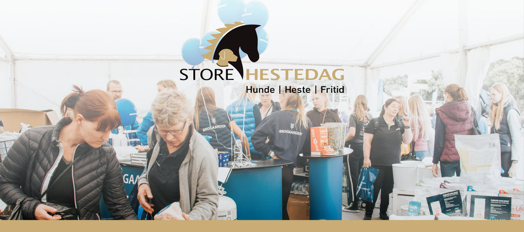 Store Hestedag i Roskilde 2019