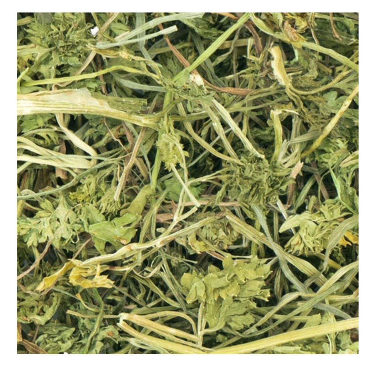 JR Farm - Persillesalat - 50g