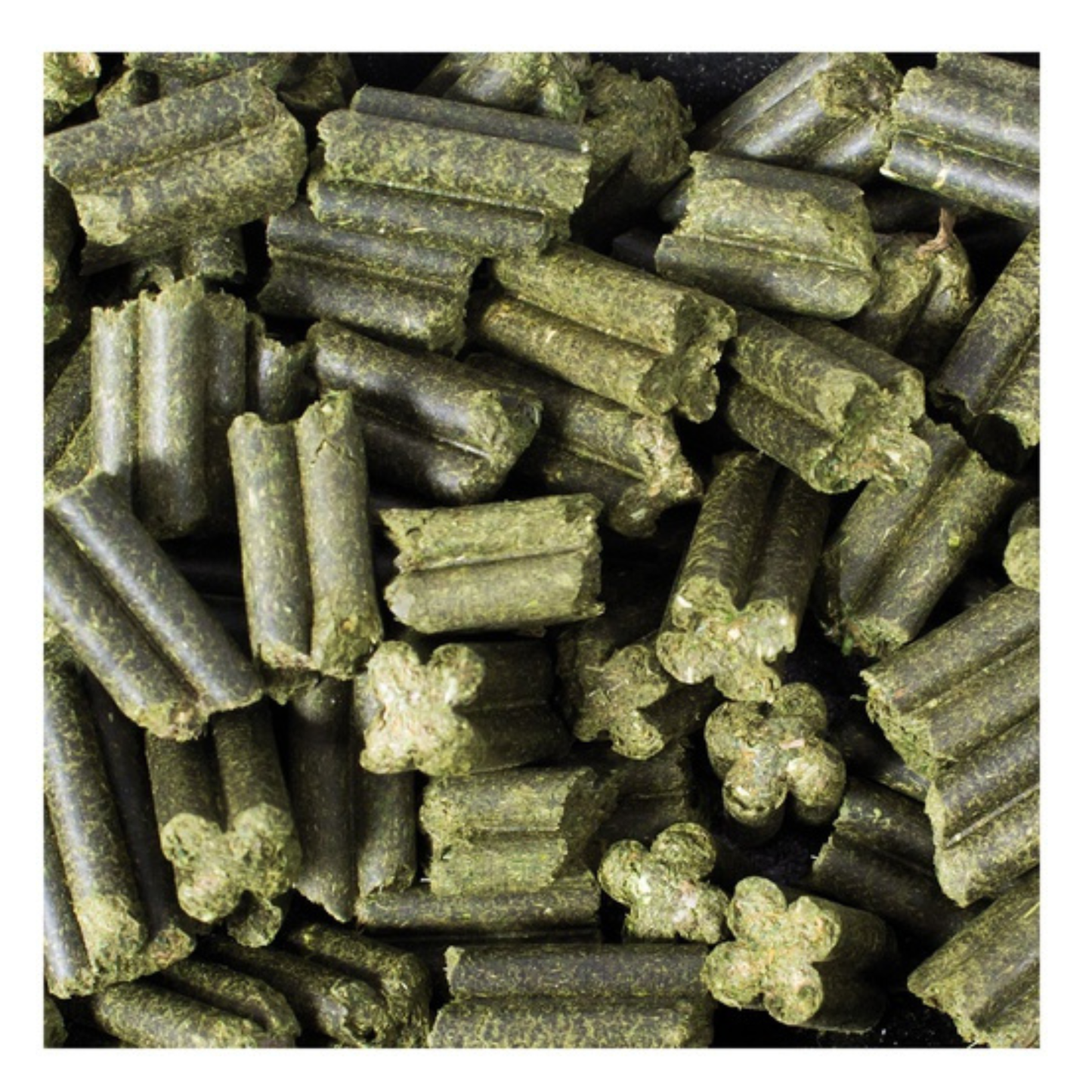 JR Farm - Quad-Bits Persille - 300g