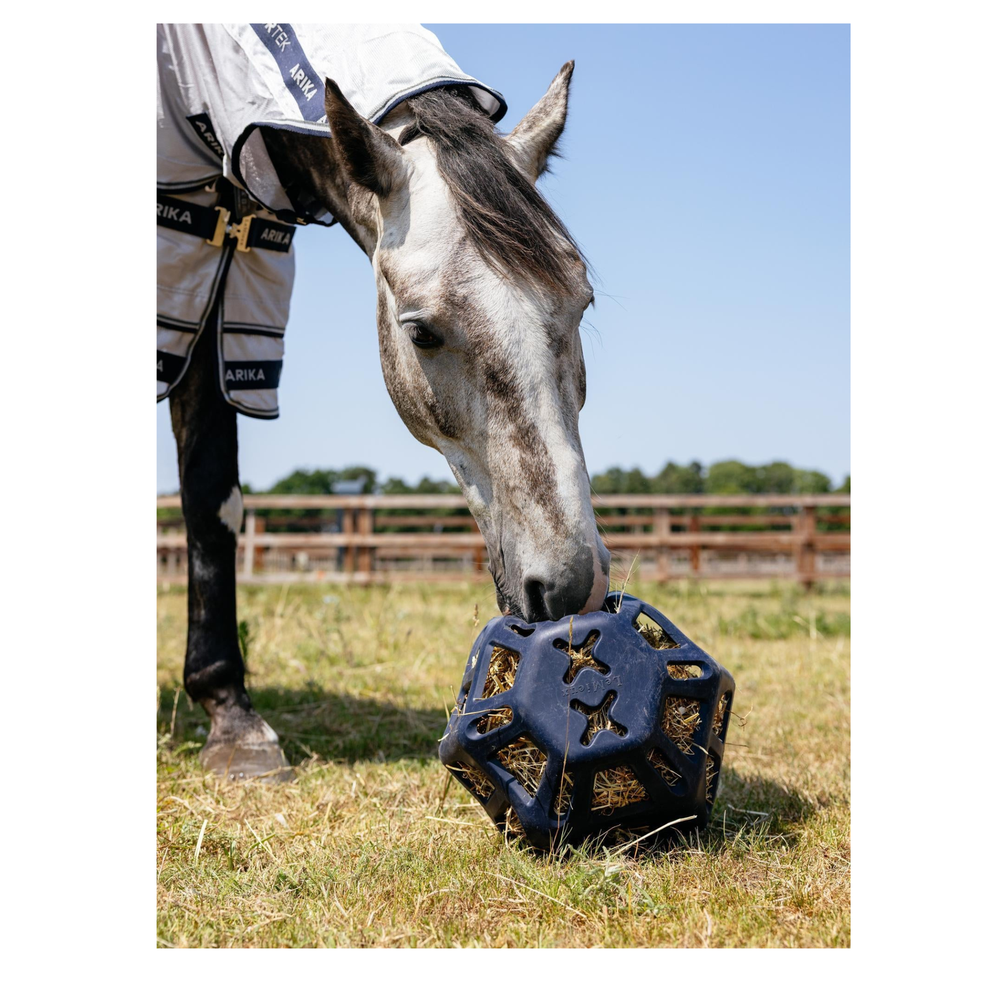 LeMieux - Hay Ball - Navy