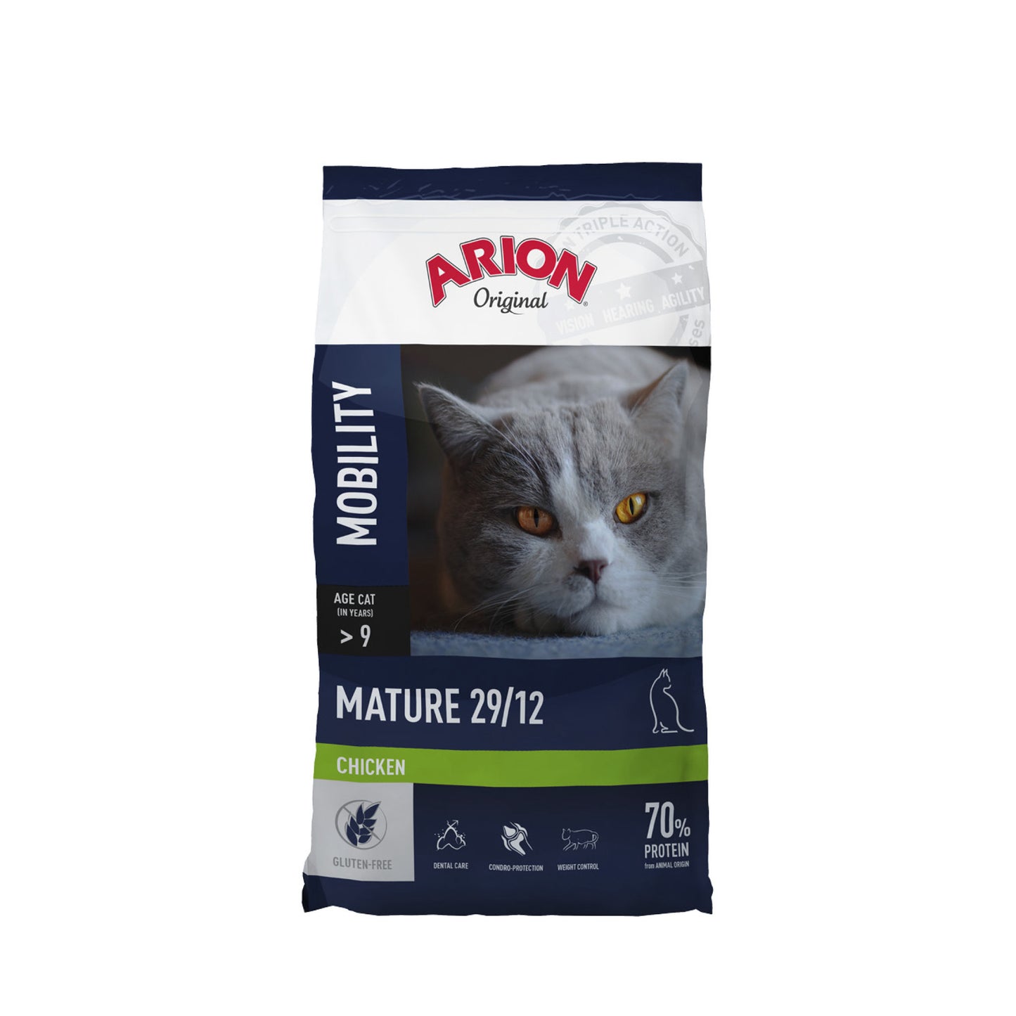 arion-cat-mature2.jpg