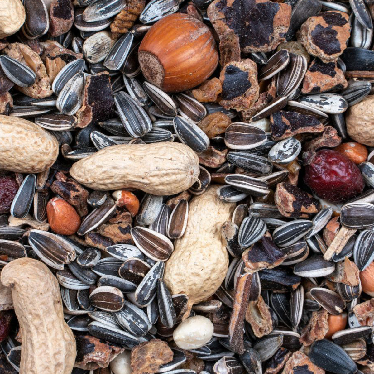 Egernfoder Nut Mix - 500 g