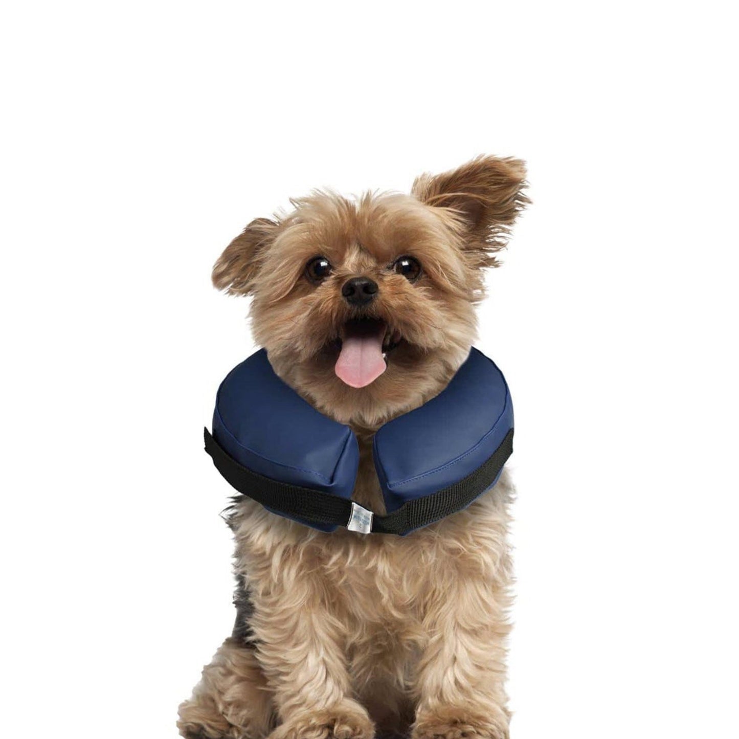 halskrav-hund.jpg