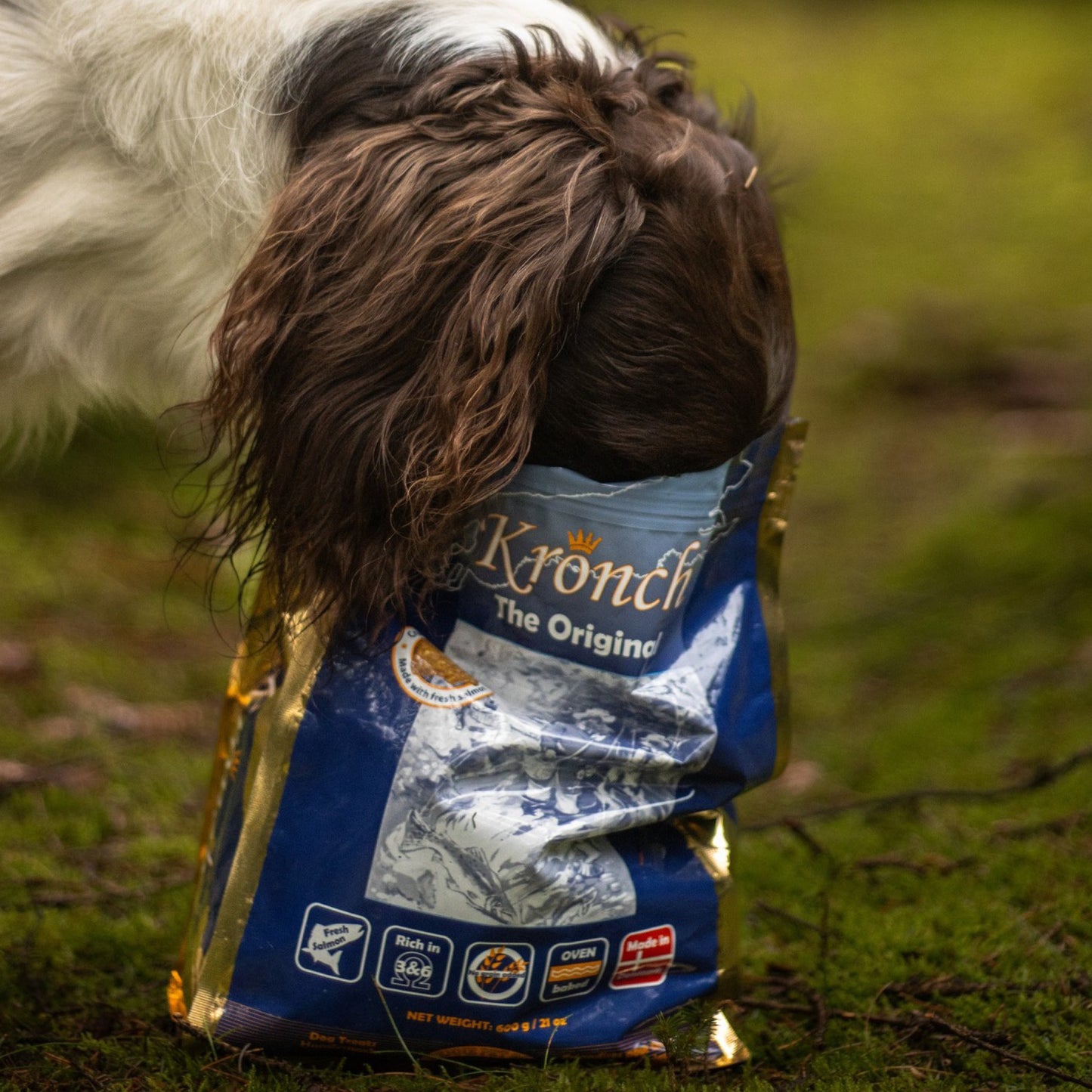 kronch-original-hund.jpg