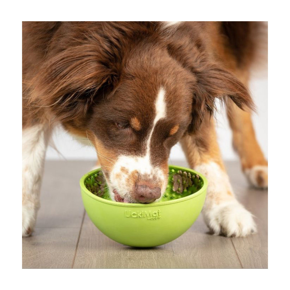 LickiMat Wobble Slikkemåtte / Slikkeskål til hunde fra KW – billede 3