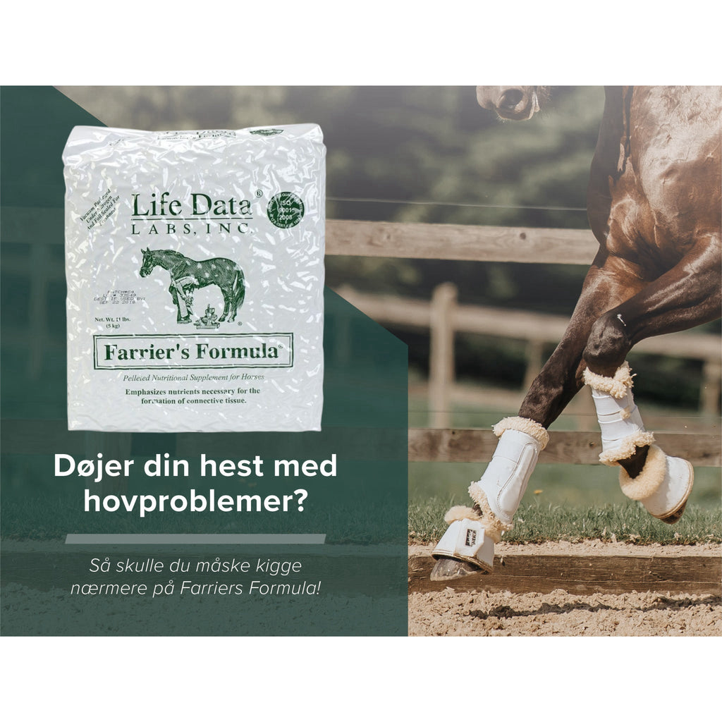 Farriers Formula Double Strength Para Caballos 11 Libras | Meses Sin Interés - Foto 3