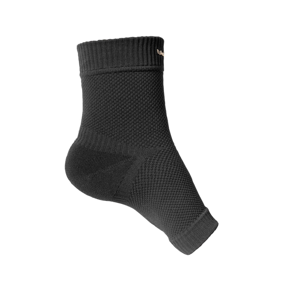 physio-ankel-bot.jpg