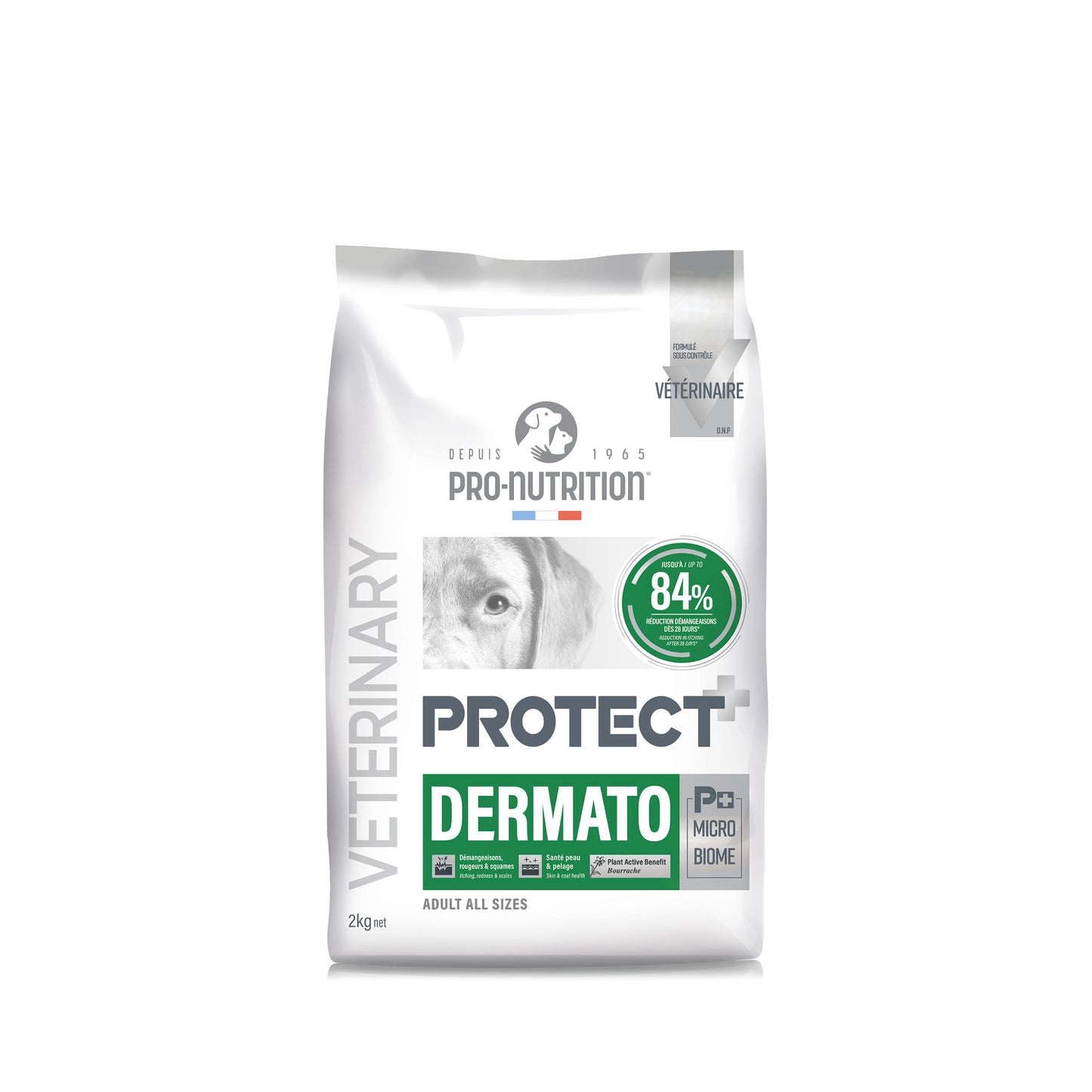 protect-dog-dermato-2.jpg