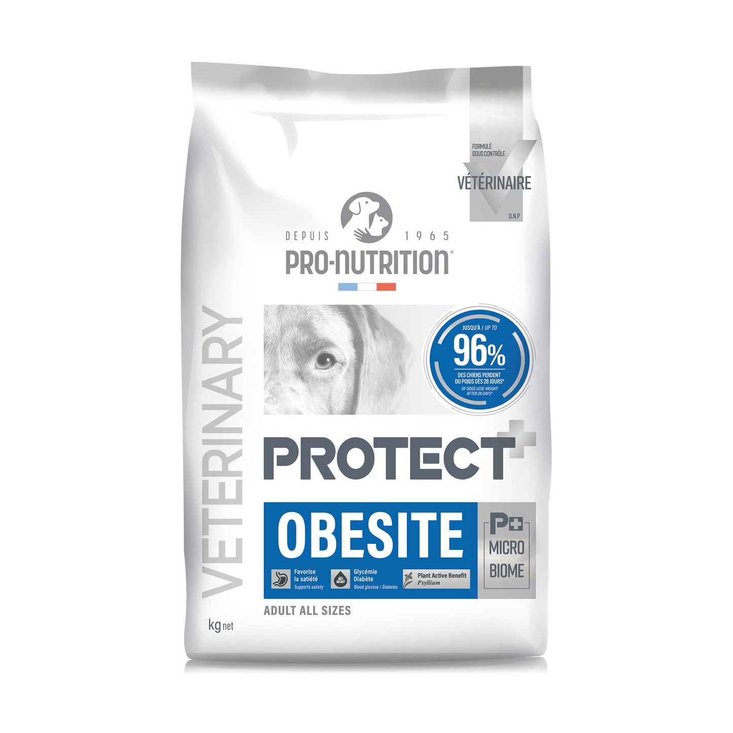 protect-dog-obesite-12.jpg
