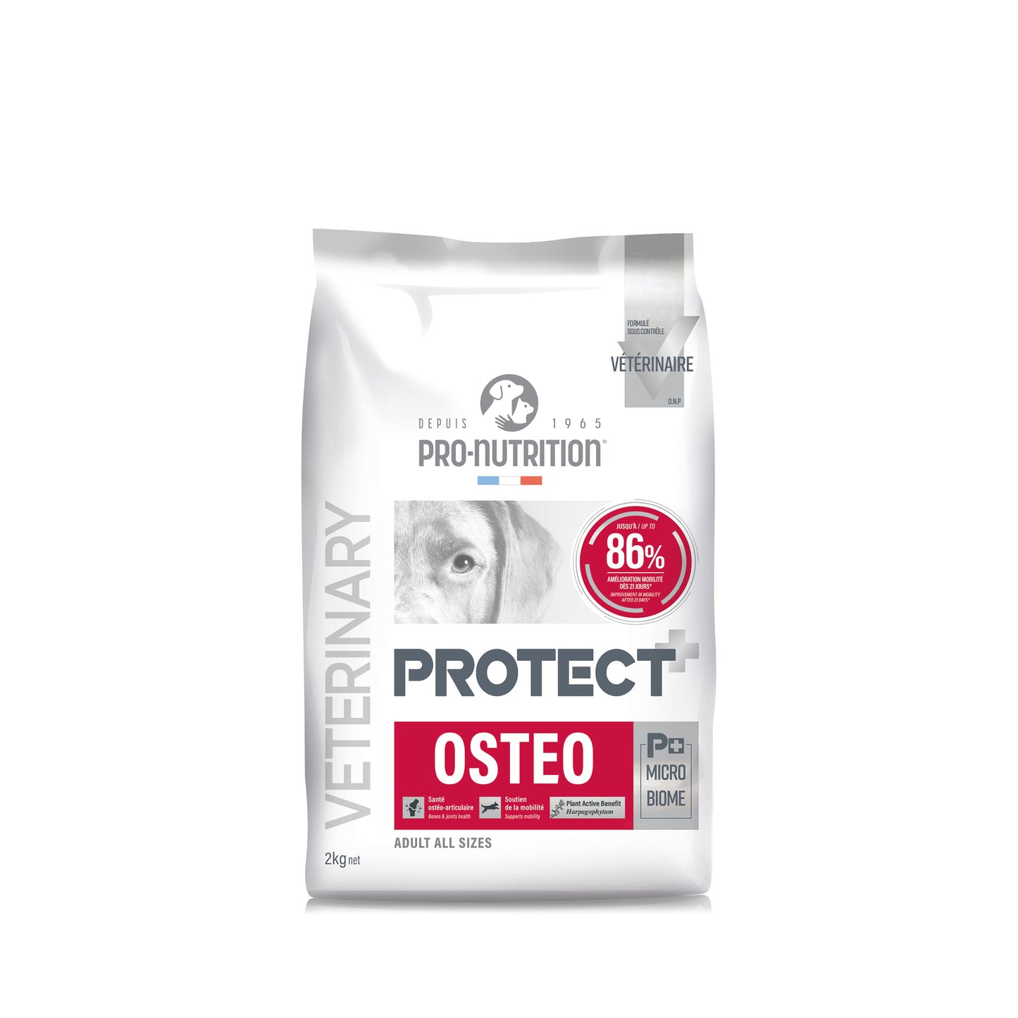 protect-dog-osteo-2.jpg