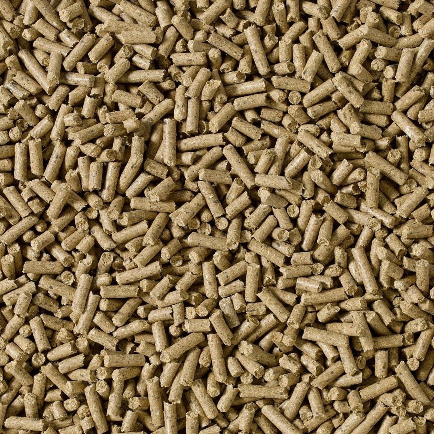 saracen-condi-cubes.jpg
