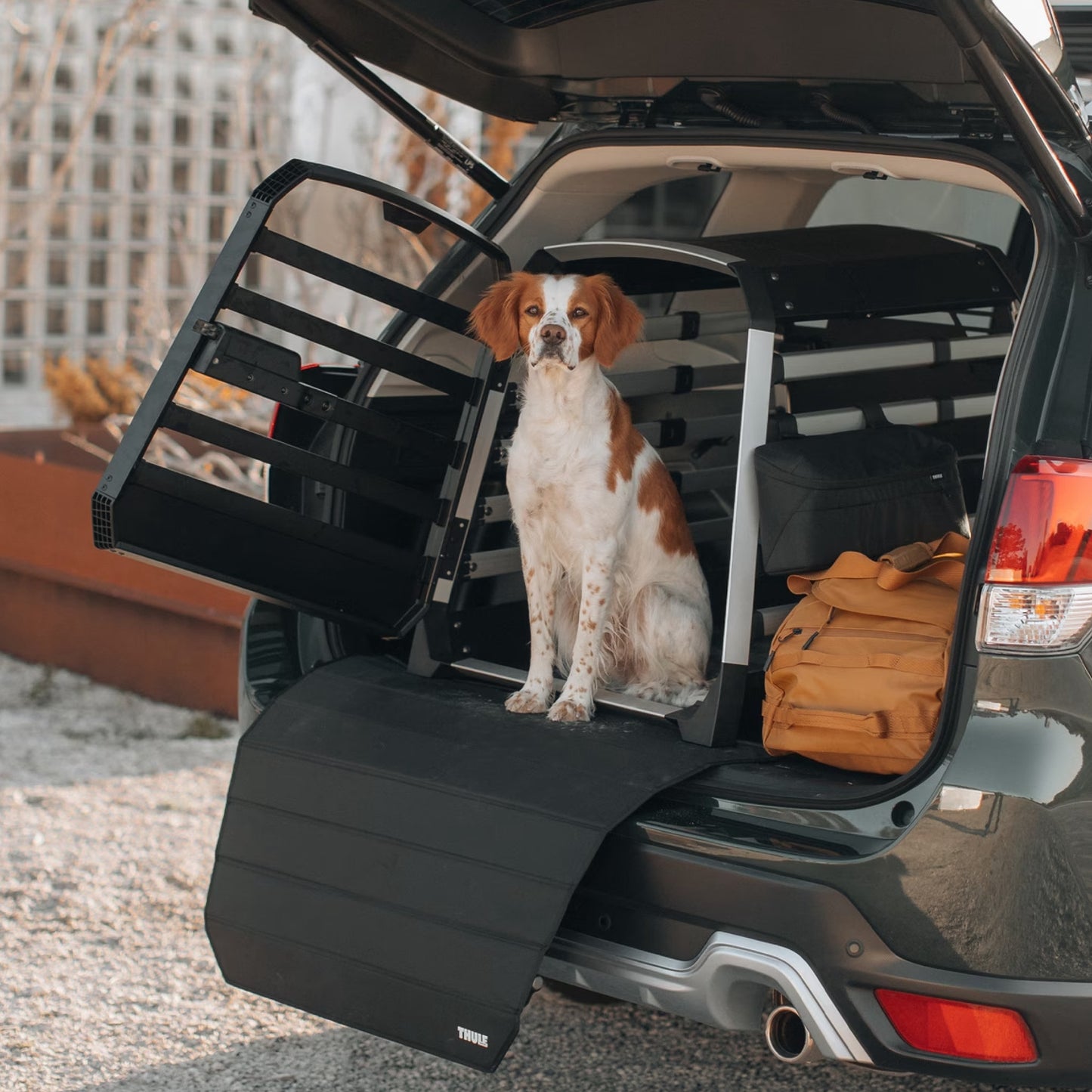 thule-allax-hund.jpg