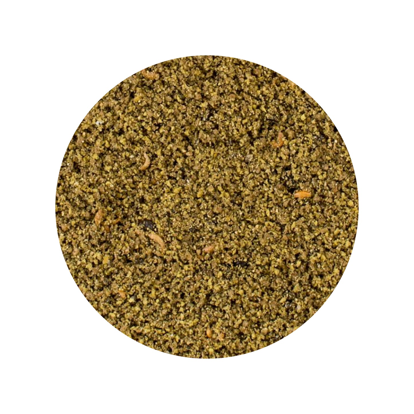 witten-mole-uni.jpg