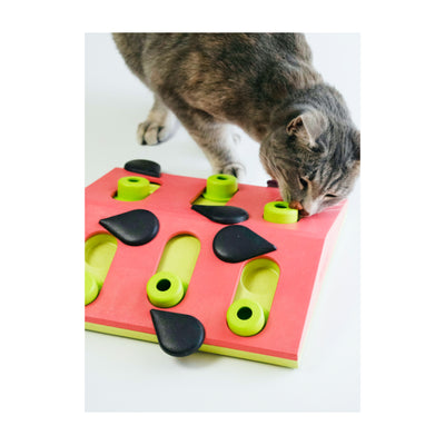 Melon Madness Puzzle & Play, Aktivitetslegetøj til katte