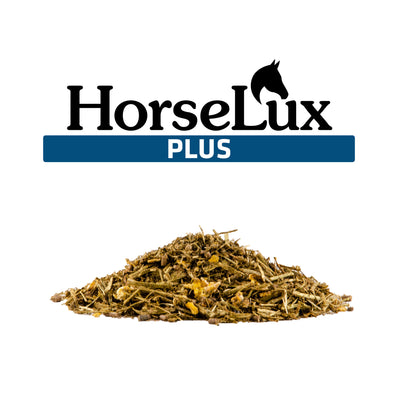 HorseLux Plus et fiber- og strukturbaseret basisfoder.