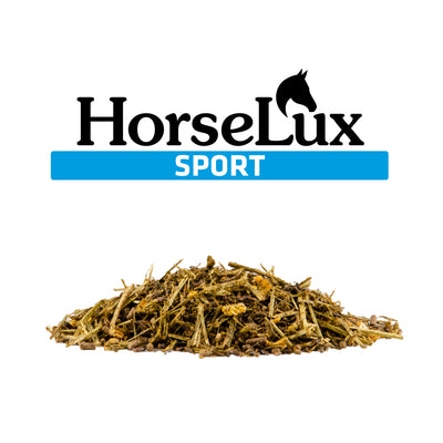 HorseLux Sport, Foder baseret på sort havre, lucerne, majs og HorseLux Eponaolie. 