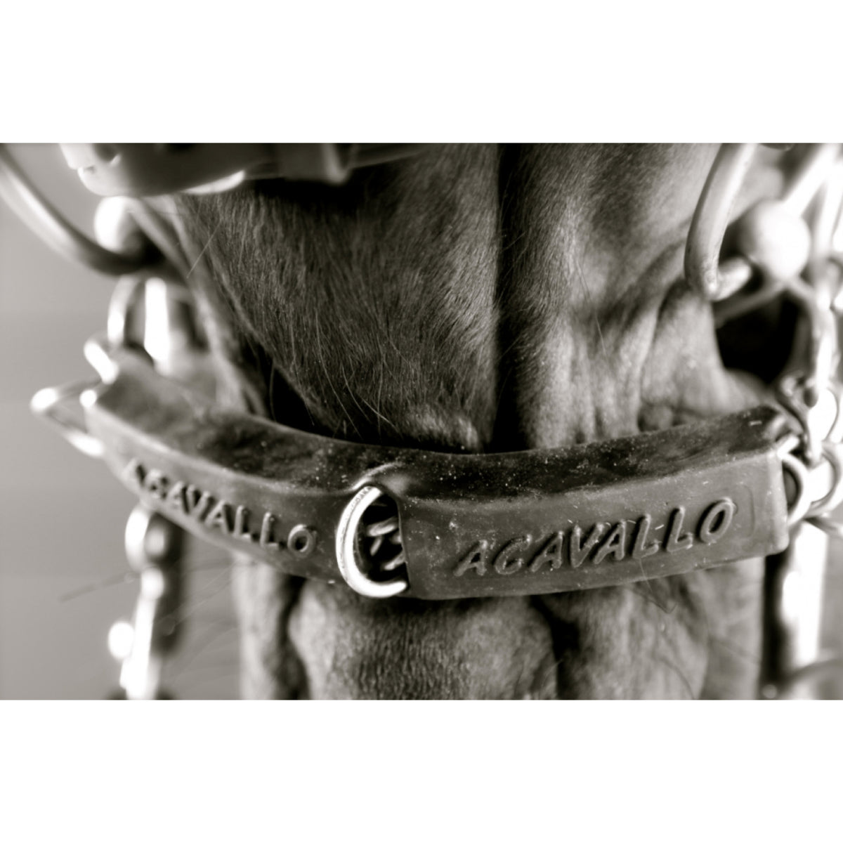 Acavallo Gel Chain Guard - Kindkædebeskytter