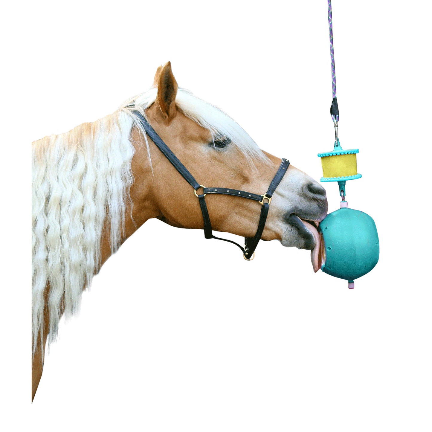 LIKIT Boredom Breaker - Turkis