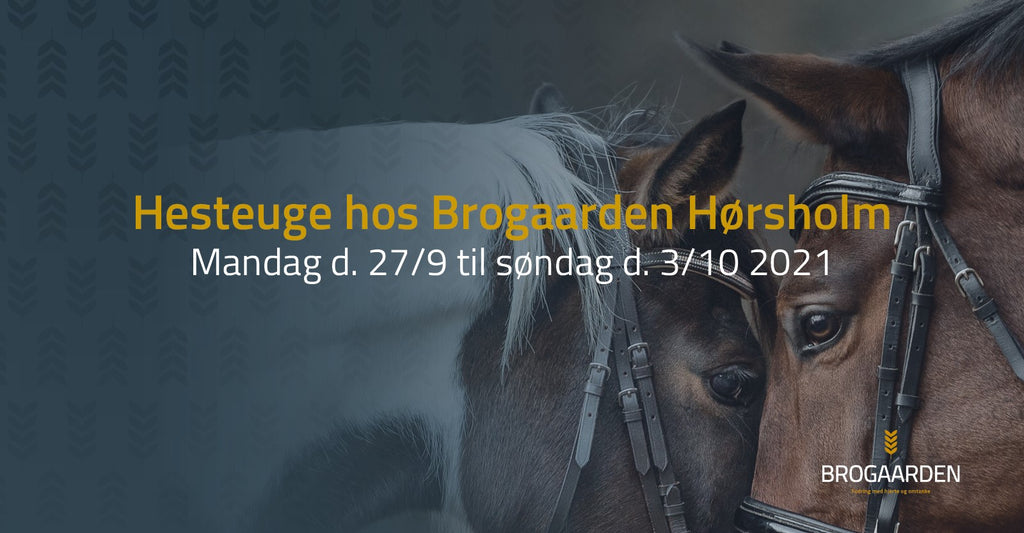 Hesteuge hos Butik Brogaarden i Hørsholm 2021