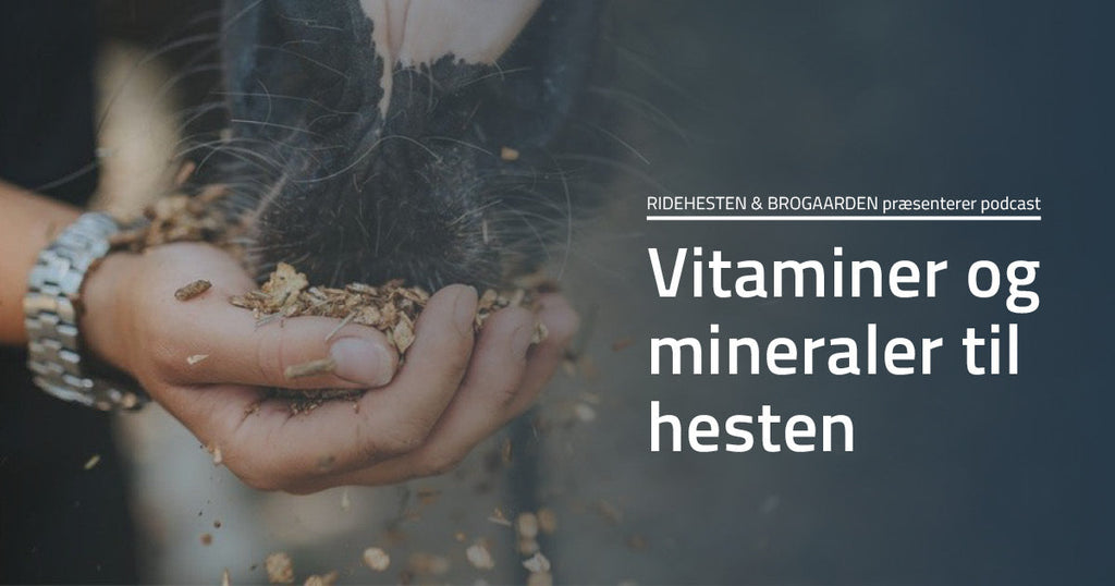 Podcast Hvad er der i krybben? - 1. afsnit: Vitaminer og mineraler til hesten