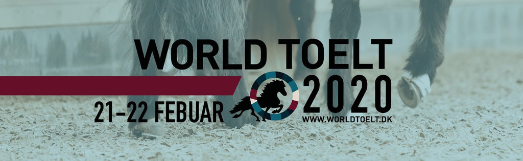 World Toelt Odense 2020