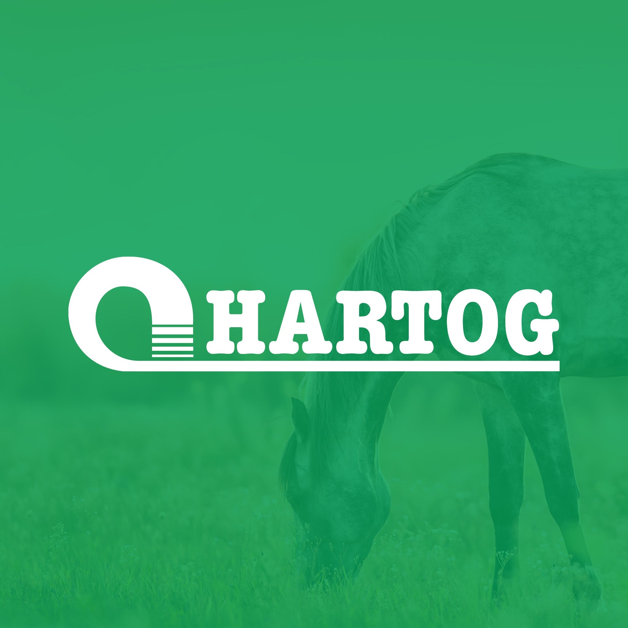 Hartog Lucerne og mash til din hest