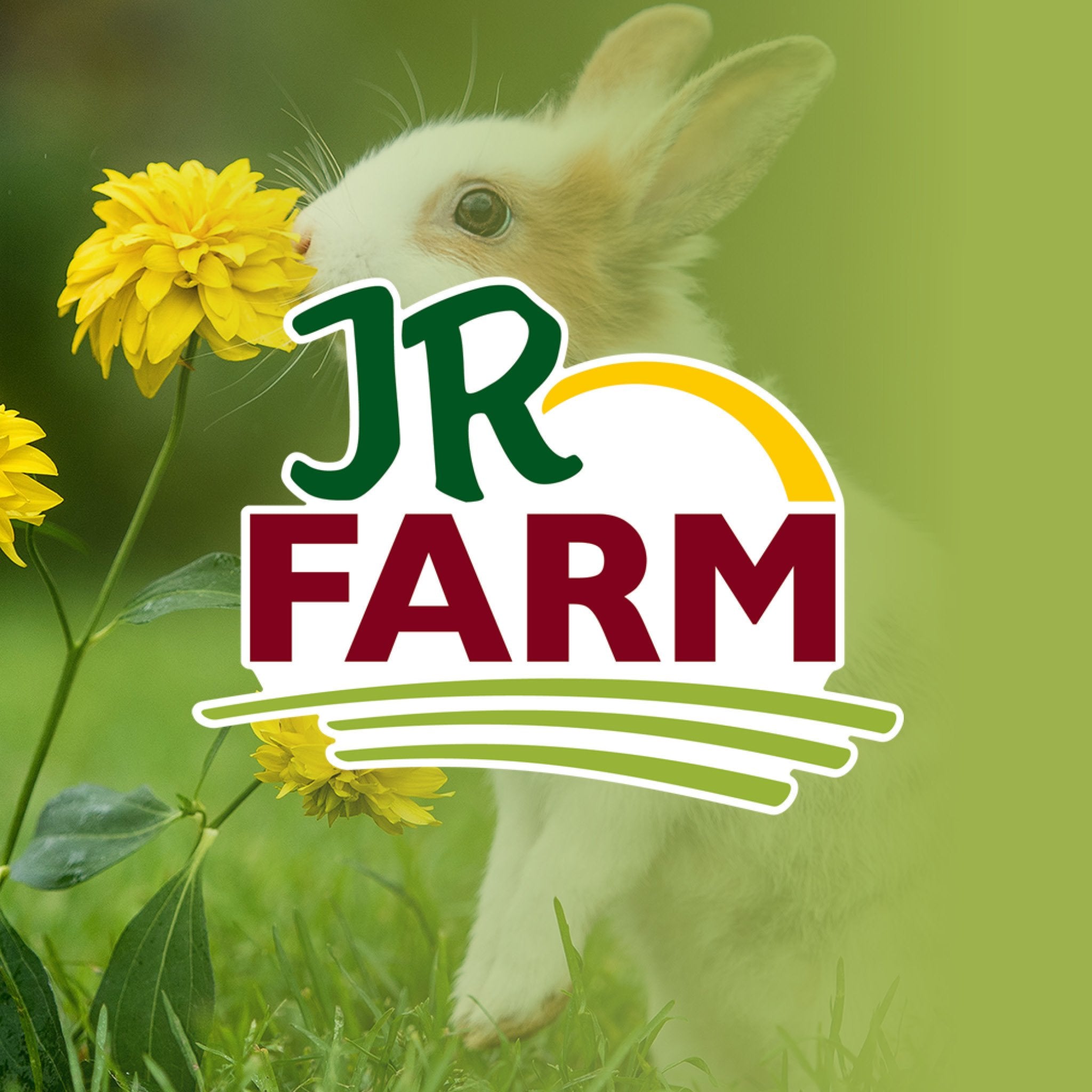 JR Farm logo med hvid og brun kanin i baggrunden