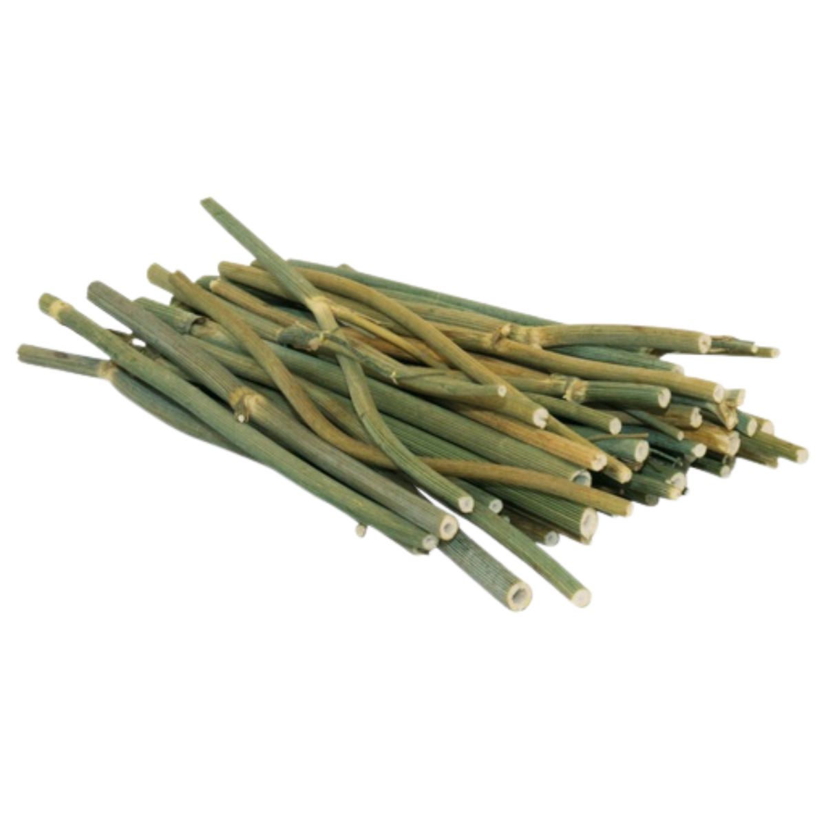 JR Farm - Dild Stick - 15g