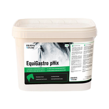 EquiGastro pHix
