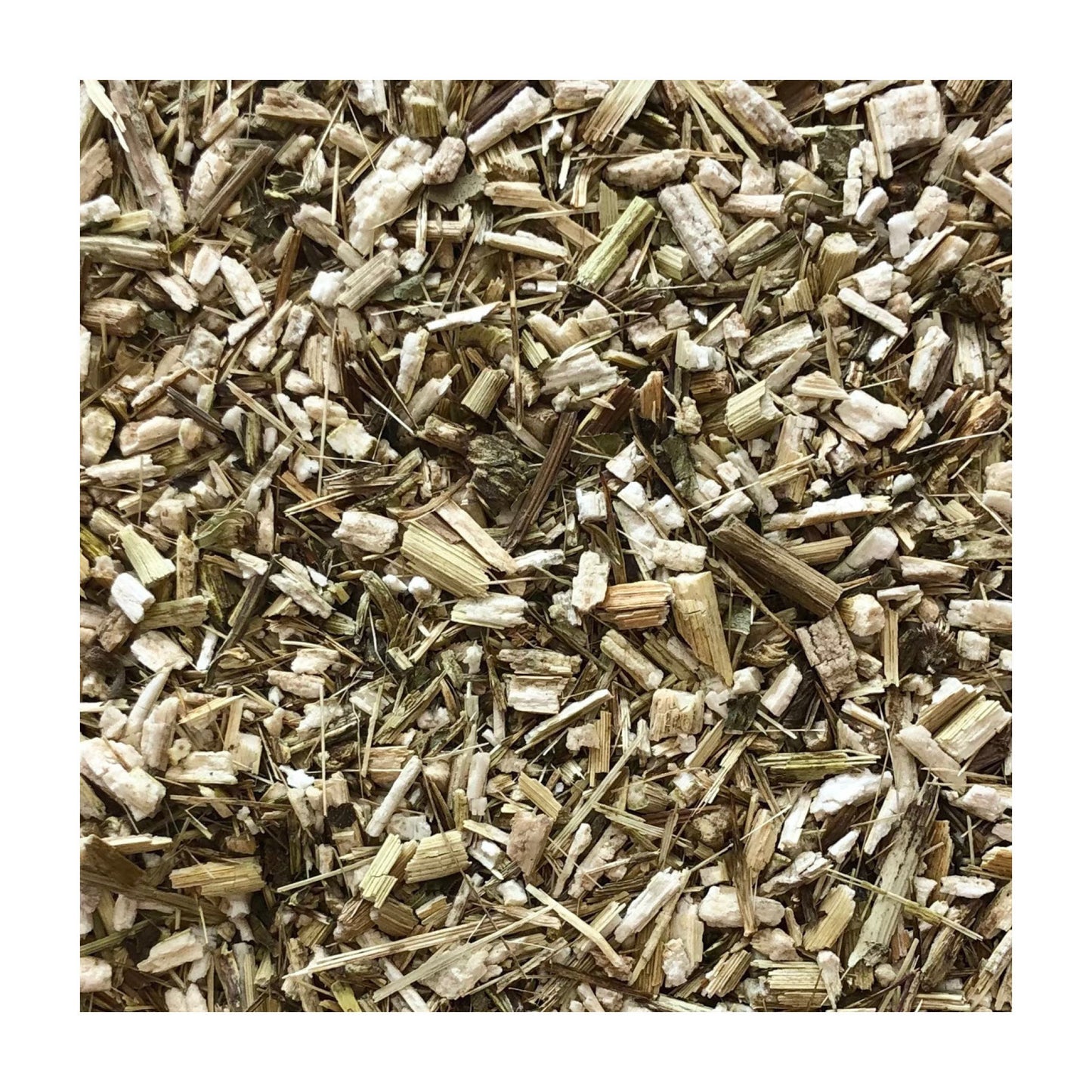 30641_Echinacea1kg_2.jpg