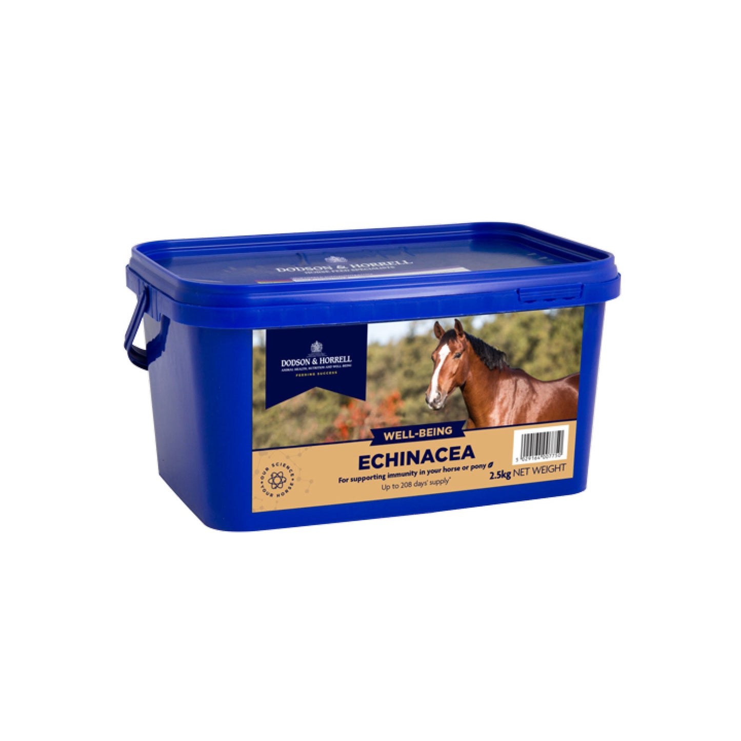 30641_Echinacea1kg_3.jpg