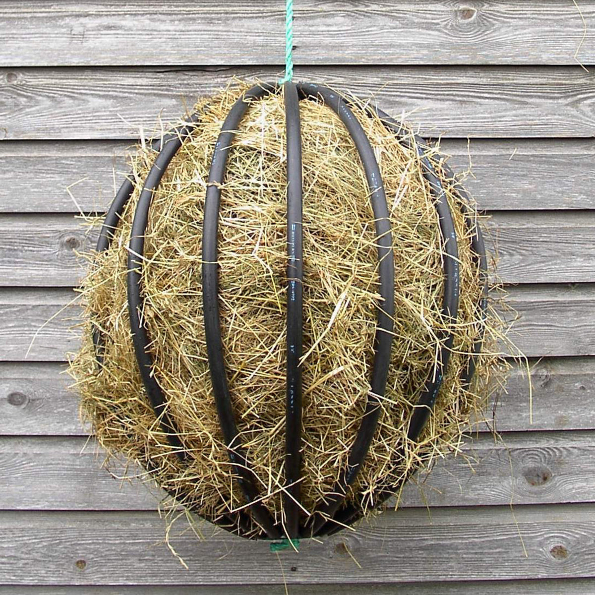 31193_Hayball.jpg