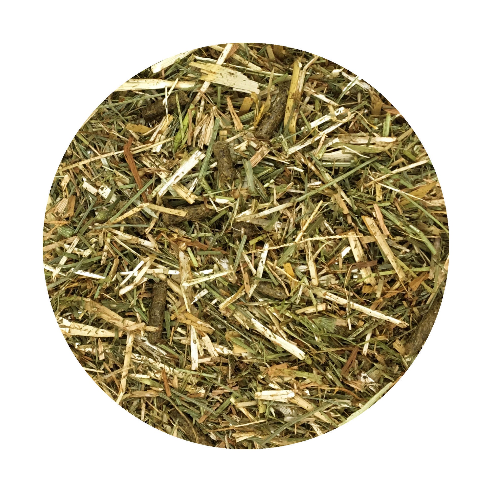 31305_Safe_Sound18kg_lucerne.jpg