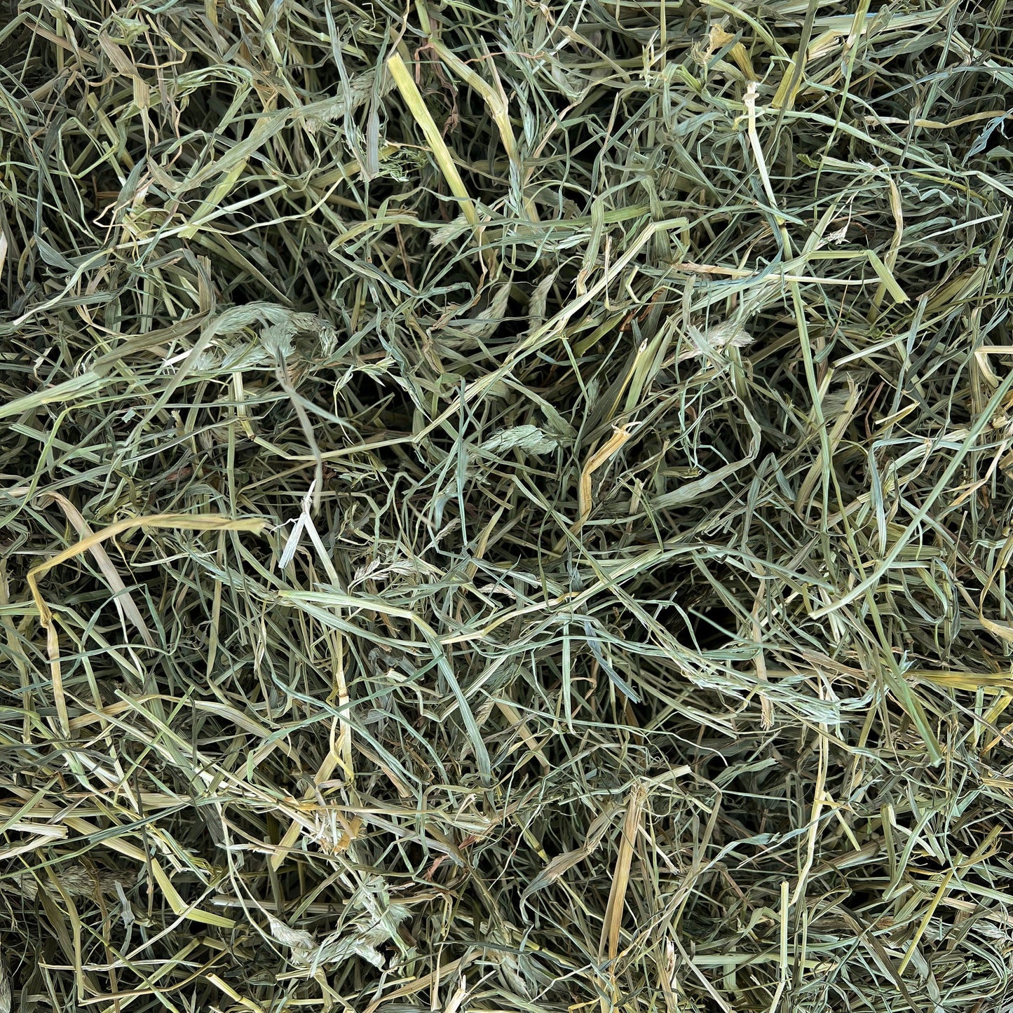 35849_Brogaardensurtegraesho2_5kgselvehoet.jpg