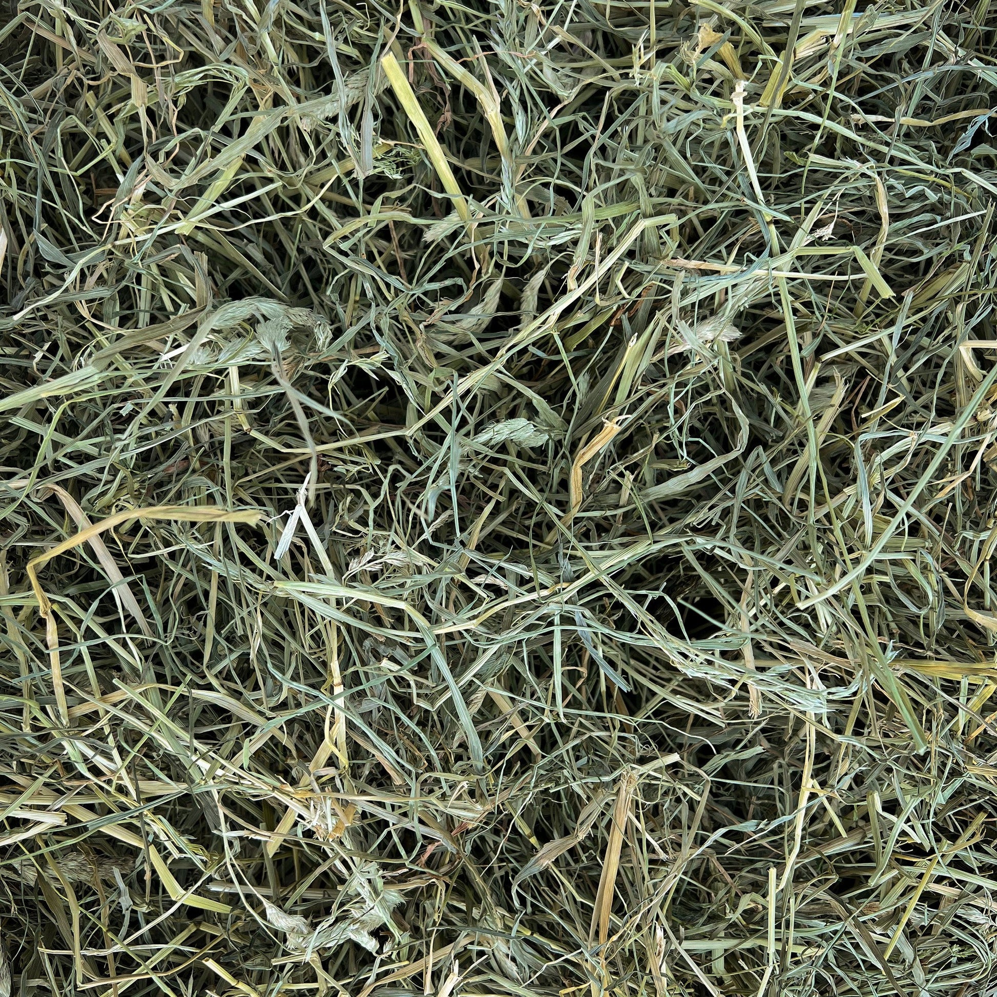 35849_Brogaardensurtegraesho2_5kgselvehoet.jpg