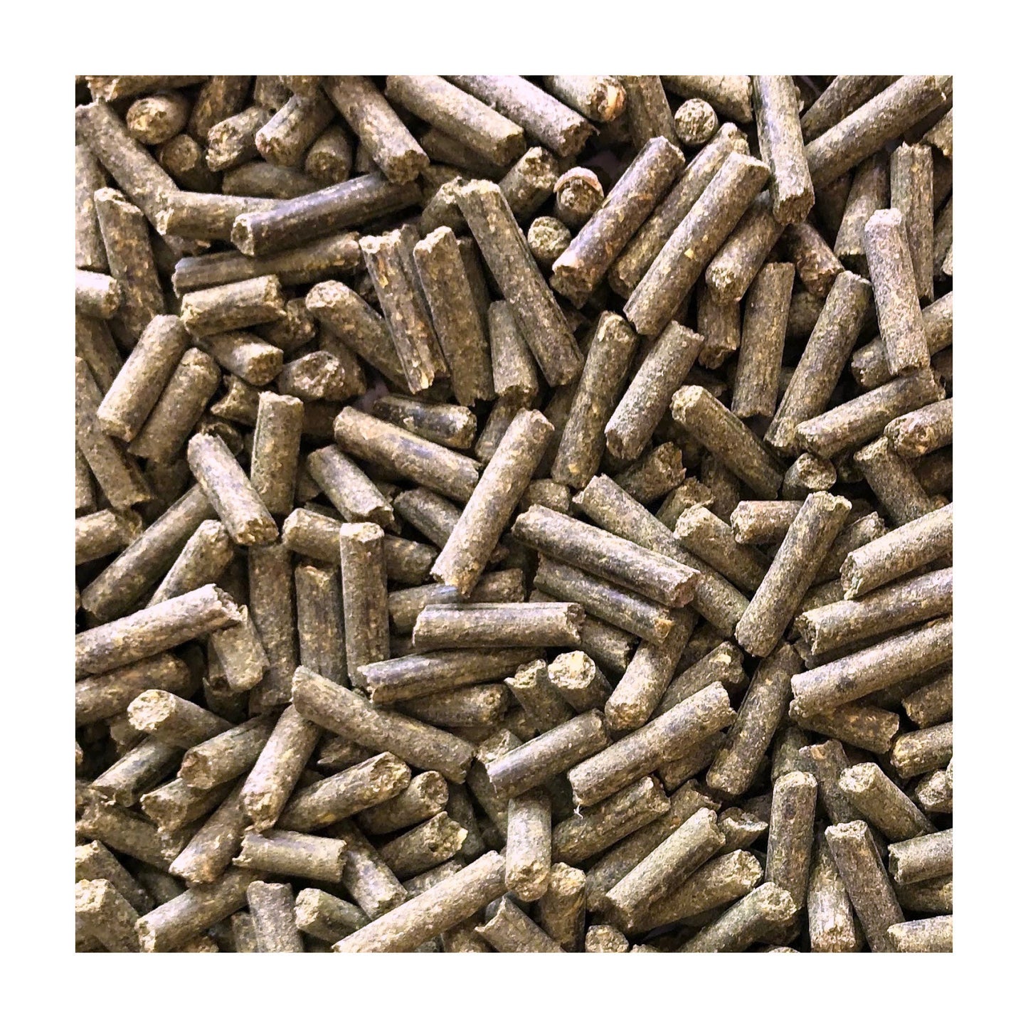 37179_DailyVits_MinsSupplement.jpg