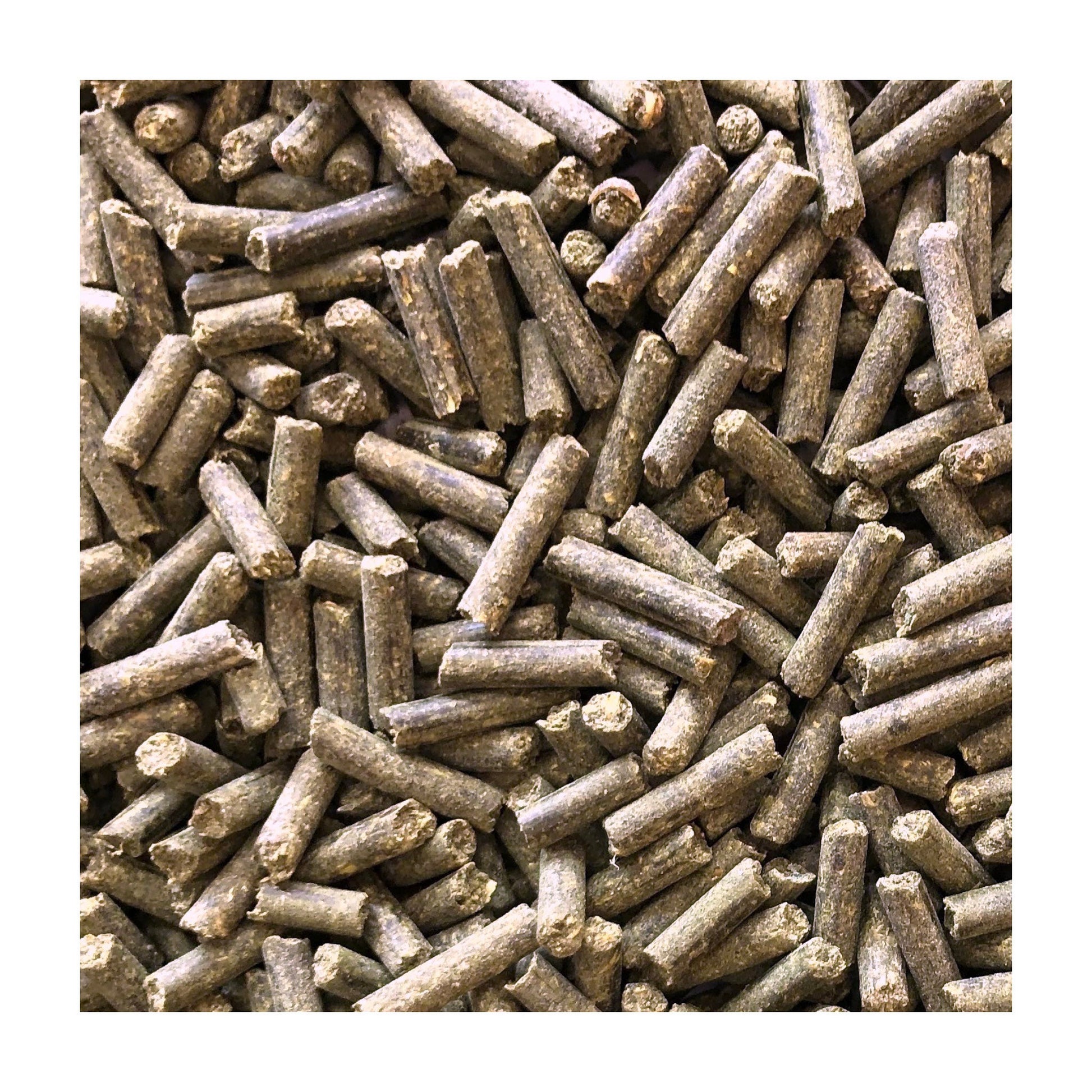 37179_DailyVits_MinsSupplement.jpg