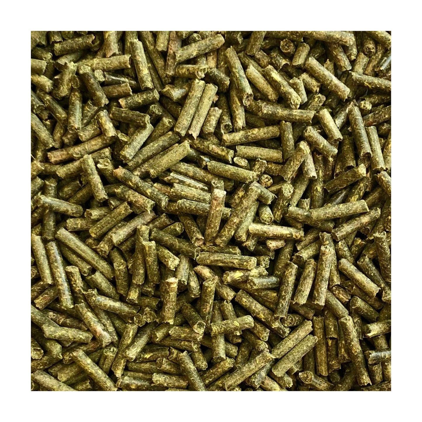 40716_DigestiveSupport1_5kg_2.jpg