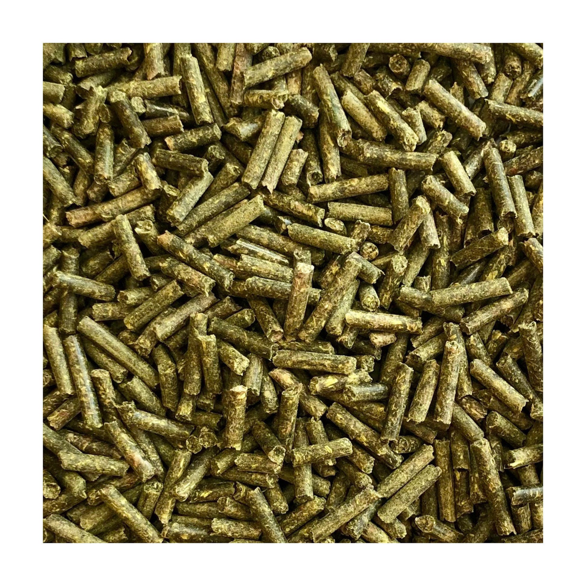 40716_DigestiveSupport1_5kg_2.jpg