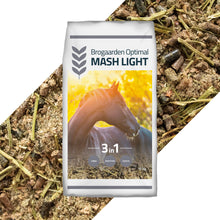 43562_MashLight_ny.jpg