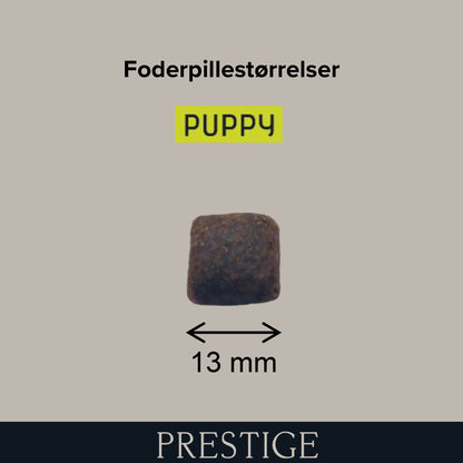44927_PrestigePuppy_foderpille_fc93cd60-9896-4581-bb54-10fb73ca2ff9.jpg