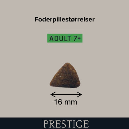 Prestige Adult Medium 7+ - 14 kg