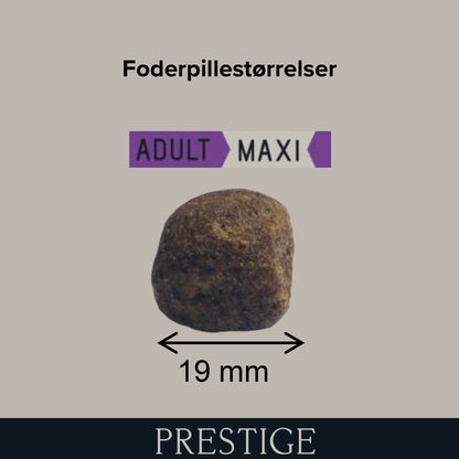 Prestige Adult Maxi - 14kg
