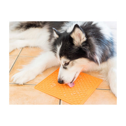 45390_KWLickiMatiOrange.jpg