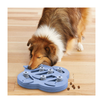 46737_DogHiden_slideaktivitetslegetojhund.jpg