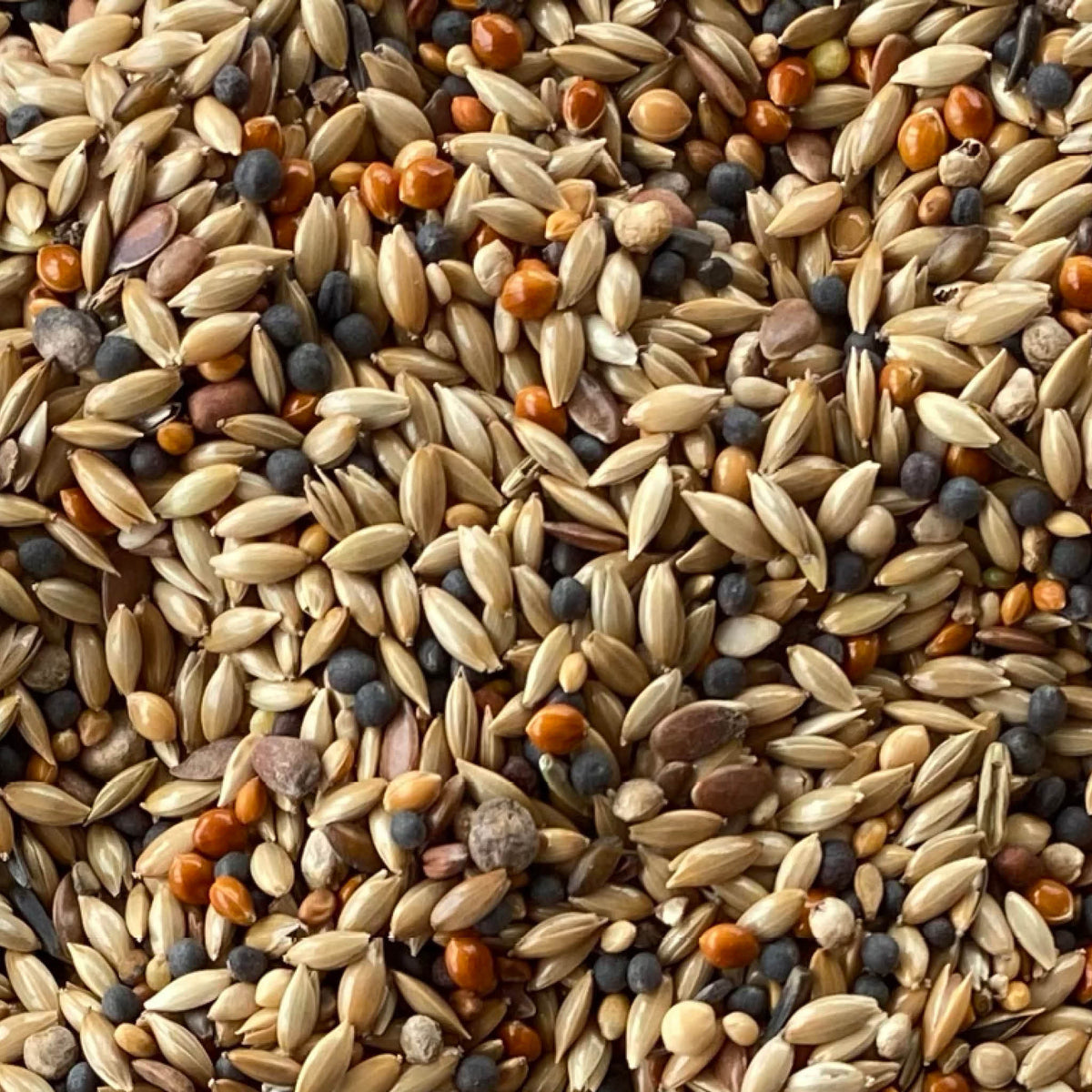47043_TropeLux_15kg_fro.jpg