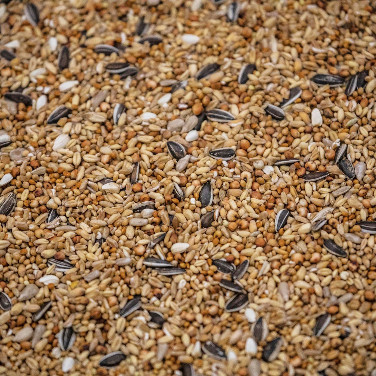 4BirdsVildfuglebl.Almindelig20kg_foderbillede.jpg